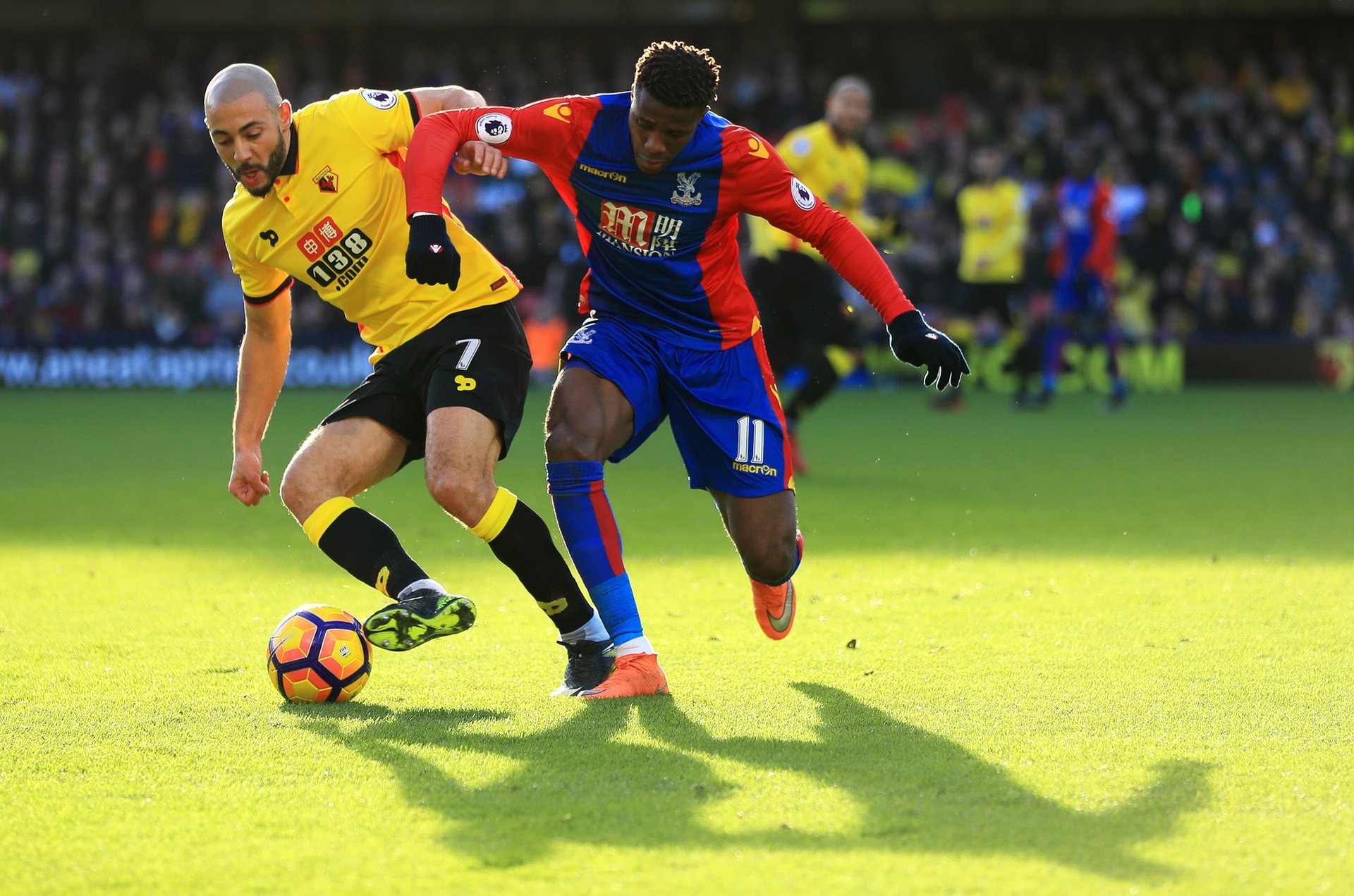 本的理解也 本的理解也