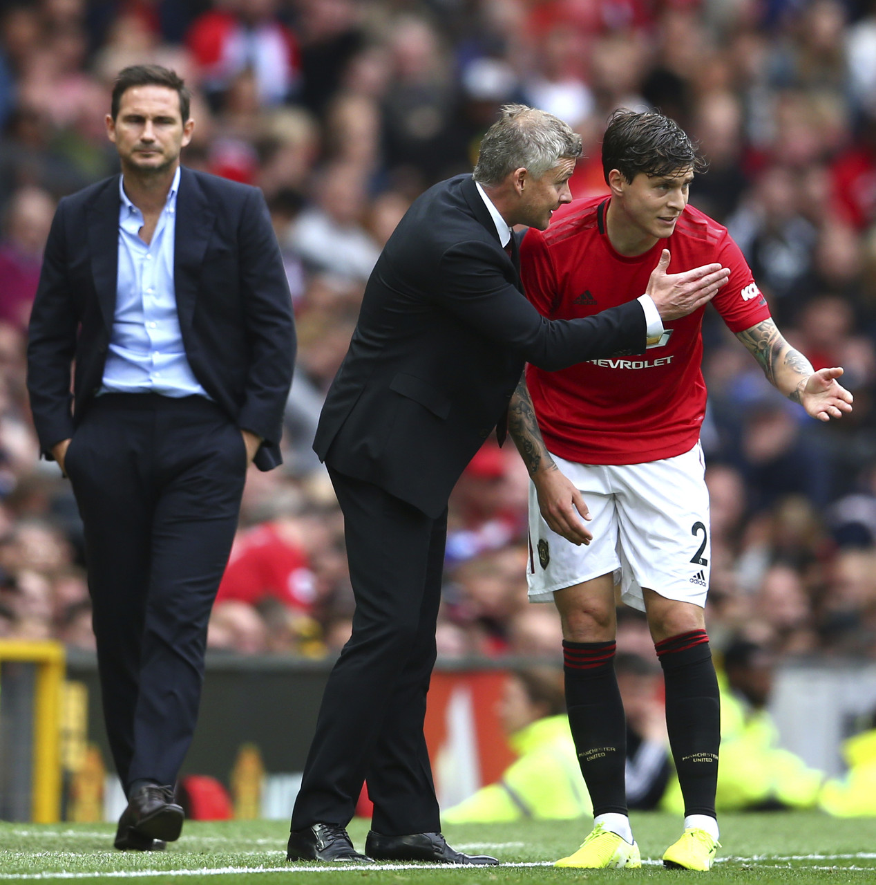 精心设计的 精心设计的